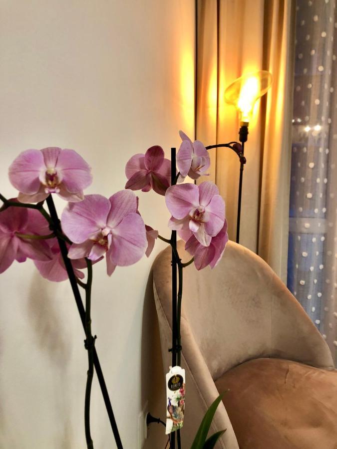 Old Town Romantic Apartment. Breslau-Wroclaw. 외부 사진